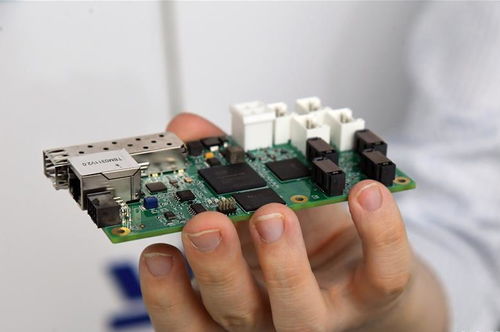 北京城市副中心東南生態(tài)門(mén)戶景觀正式開(kāi)放，智慧化信息系統(tǒng)集成服務(wù)提升游園體驗(yàn)